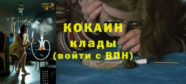 соль ск Алзамай