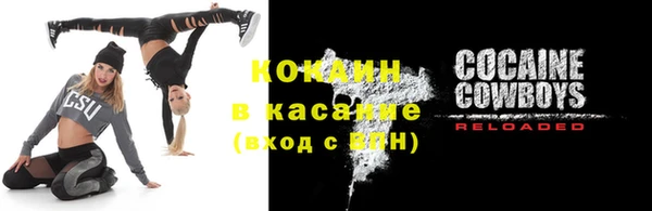 соль ск Алзамай