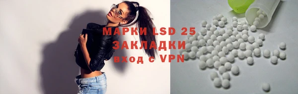 гидра Алексеевка