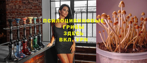гидра Алексеевка